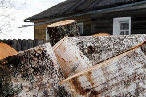 Best Practices for Storing Firewood