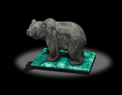 Beyond Appearance: Understanding the Ecological Role of the Mysterious Obsidian Bear