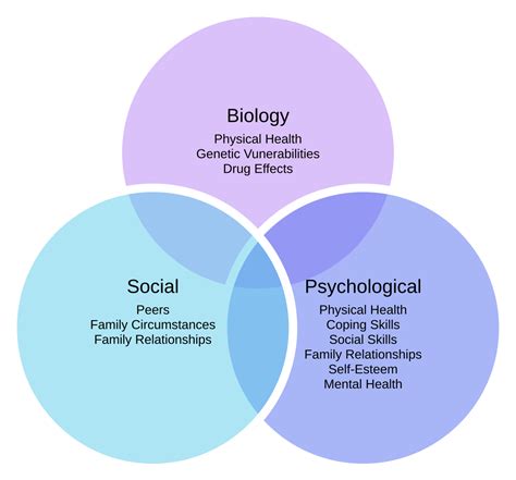 Beyond Biology: Psychological and Social Factors Influencing the Yearning for Multiple Offspring