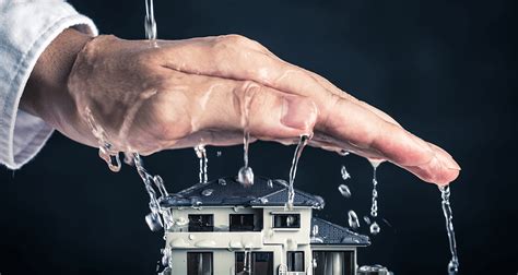 Beyond DIY: Seeking Professional Assistance for Water Damage