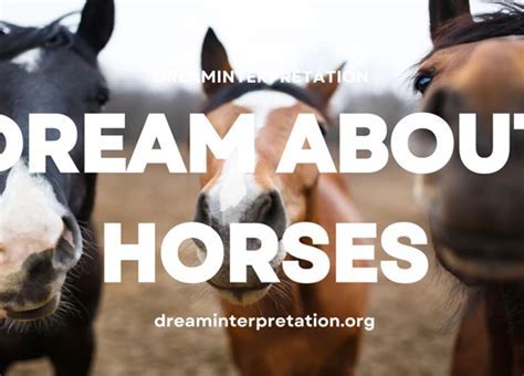 Beyond Dreams: Unveiling the Symbolic Significance of Encountering Ebony Equines in Reality