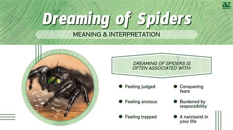 Beyond Fear: Understanding the Positive Aspects of Dreams Involving Offspring Spiders