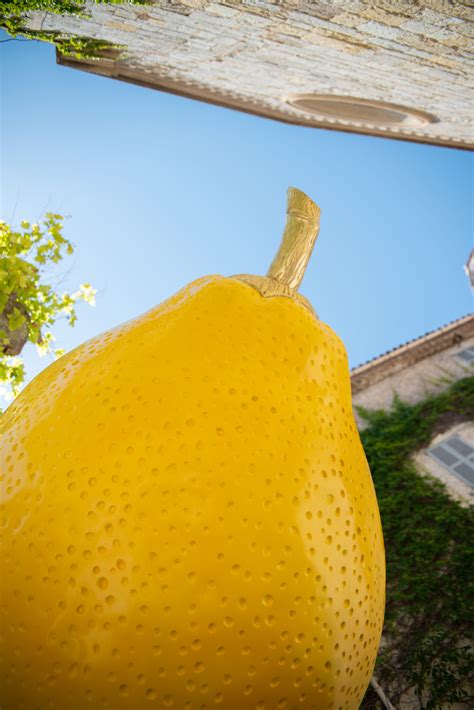 Beyond Lemonade: Imagining the Culinary Possibilities of Giant Lemons