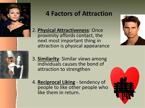 Beyond Physical Appearance: Psychological Factors in the Attraction to Torso Hair