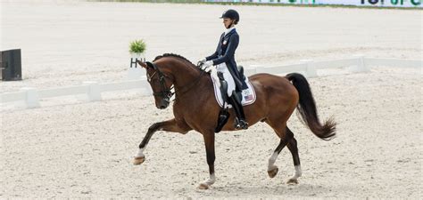 Beyond a Hobby: The Art of Dressage