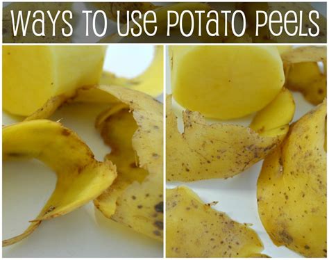 Beyond the Dream: Practical Steps to Harness the Power of Potato Peel Dreams for Personal Growth