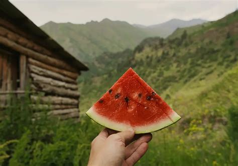 Beyond the Slice: Creative Ways to Enjoy the Enormous Watermelon in Various Recipes