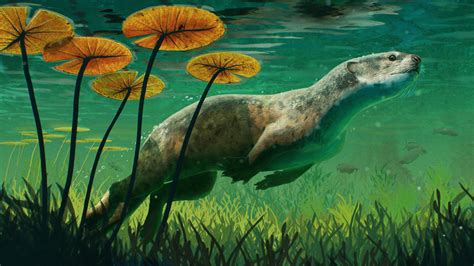 Beyond the Surface: The Ecological Significance of Petite Pinnipeds