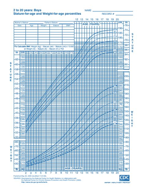 Biographical Information: Years, Stature, Shape