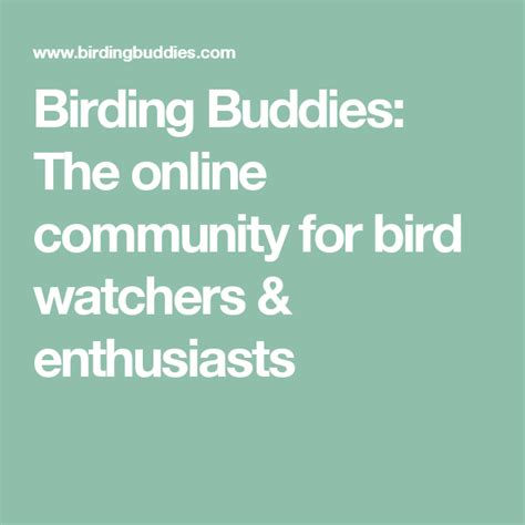 Birding Resources: Online Communities and Organizations for Bird Enthusiasts