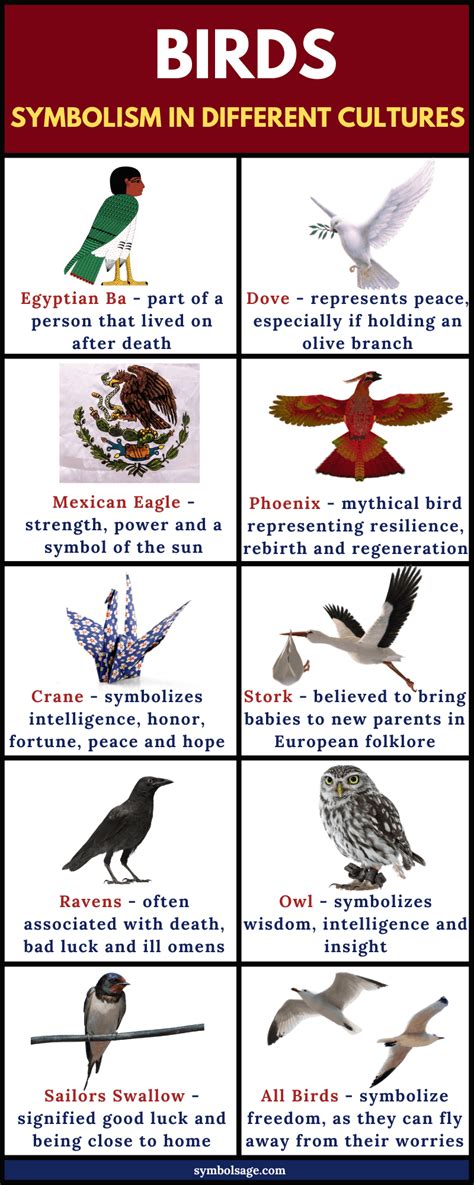 Birds in Mythology and Folklore: Exploring the Meaning Behind Their Legends