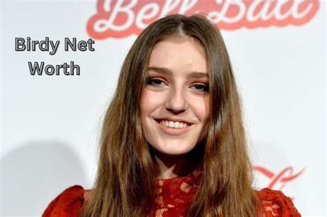 Birdy's Net Worth and Success in Industry