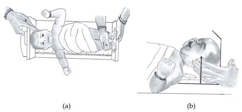 Birth Number and Vertical Measurement