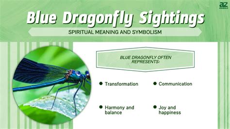 Blue Dragonfly and Spirituality: Insights from Ancient Beliefs