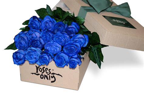 Blue Roses as Gifts: The Perfect Present for Special Occasions