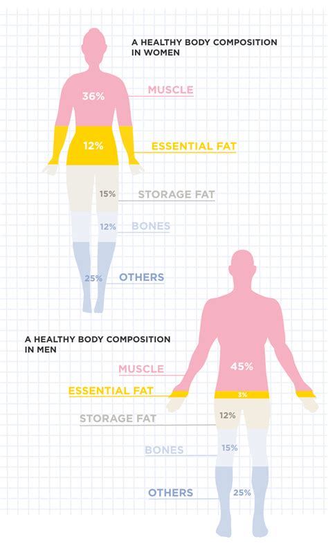 Body Composition: Harper Madi's Physical Transformation