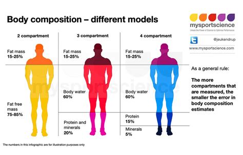 Body Composition: What is Kaykayes' Physique?