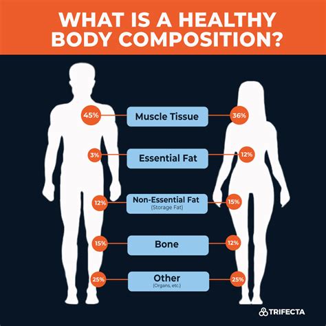 Body Composition: What is her physique like?