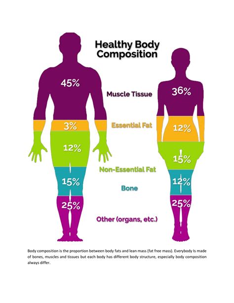 Body Composition and Exercise Regimen