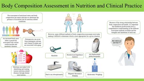 Body Composition and Nutrition Regimen