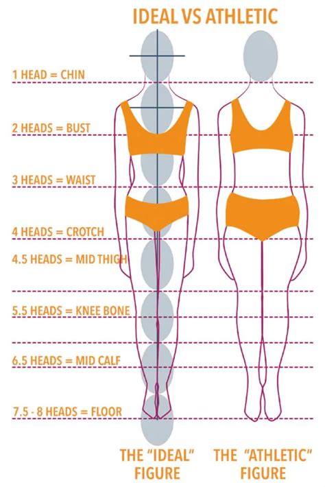 Body Measurements: What are her physical proportions?