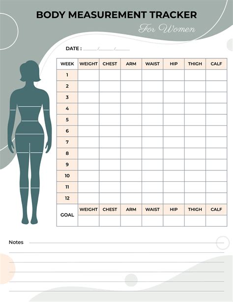 Body Measurements Description