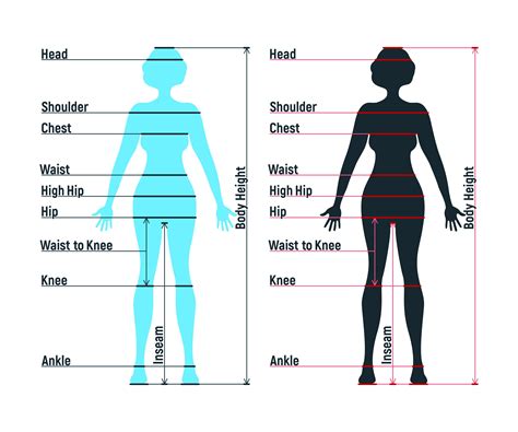 Body Measurements and Fashion Influence