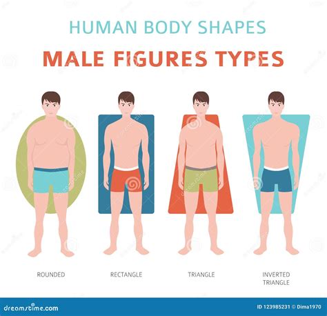 Body Measurements and Figure Description