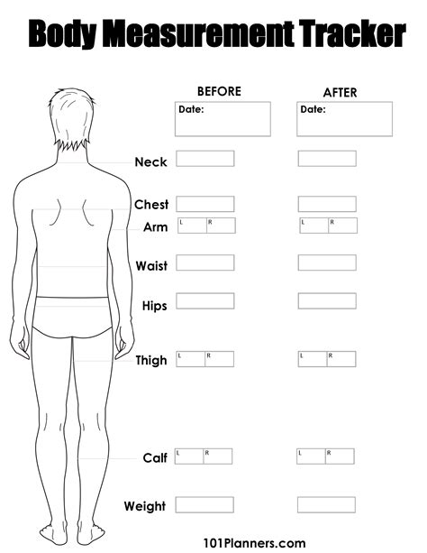 Body Measurements and Physical Conditioning