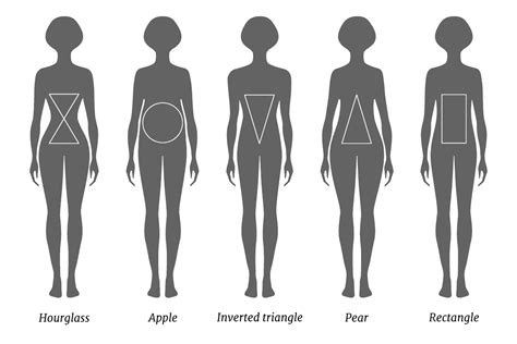 Body Measurements and Shape of the Stunning Star