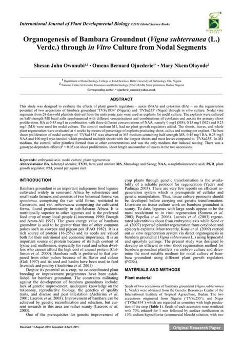 Body Measurements of Maria Molkanova