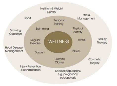 Body Statistics and Wellness Philosophy