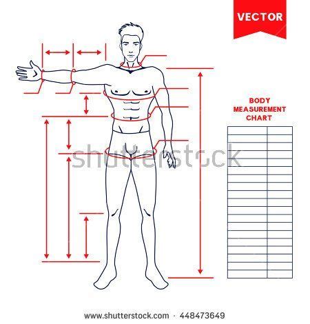 Body Stats: A Detailed Breakdown