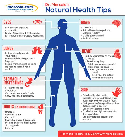 Body Stats: Fitness and Wellness Tips