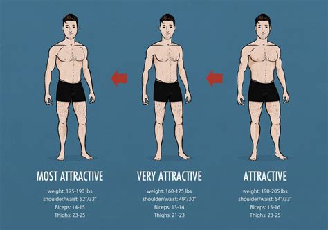 Body Stats: Physique Characteristics and Fitness