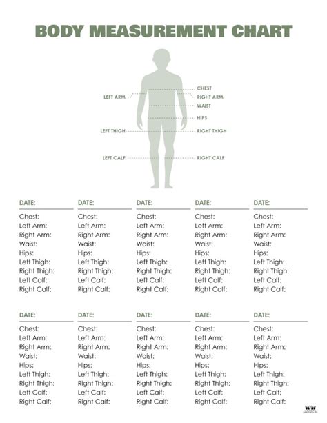 Body Stats Breakdown