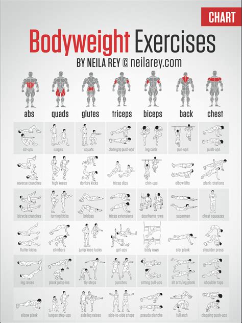 Body measurements and workout routine