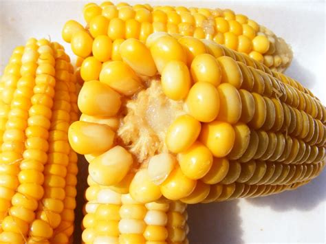 Boiled Corn Safety Tips: Ensure a Healthy and Tasty Experience