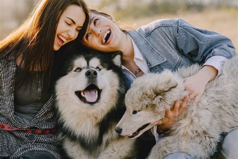 Bonding and Nurturing Your Fuzzy Companion