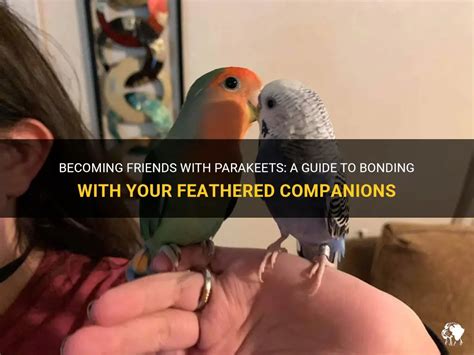 Bonding with These Cute Feathered Companions