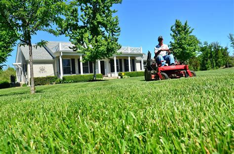 Bonus Tips for Lawn Maintenance: Mowing, Aeration, and Seasonal Care