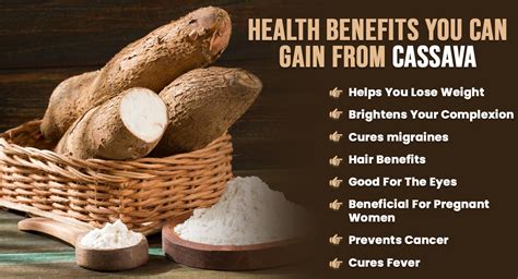 Boosting Your Immune System: The Health Benefits of Cassava