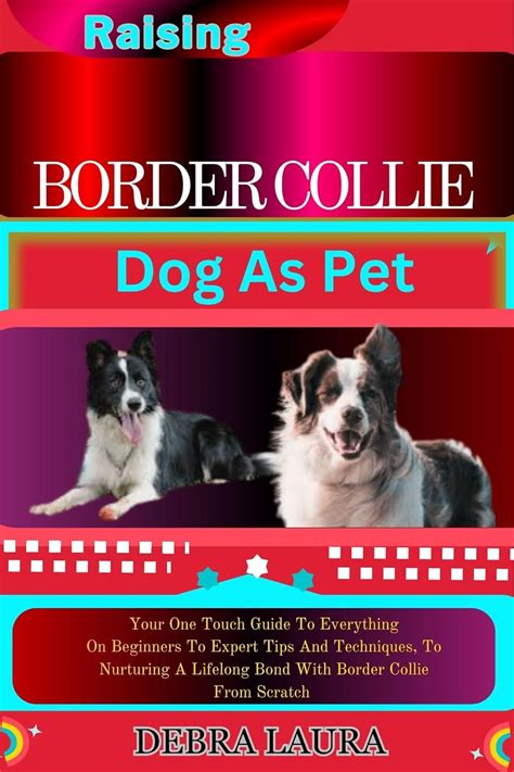 Border Collies and Families: Cultivating Lifelong Bonds