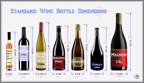 Brandy Wine's Height: Fact or Fiction?