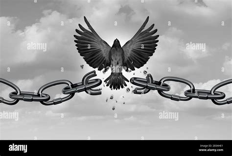 Breaking Chains: The Avian Symbol of Resistance