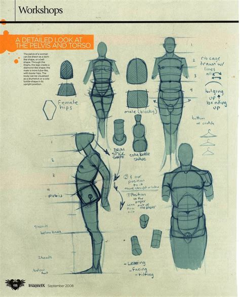 Breaking Down Body Stats