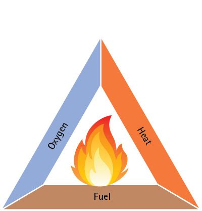 Breaking Down Vendela's Physical Attributes