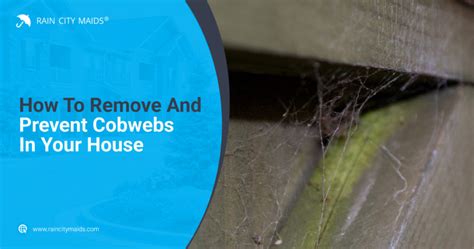 Breathe Easy: Preventing Cobweb Buildup in Your Home