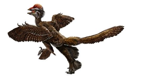 Bridging the Gap: Exploring the Possibility of Winged Dinosaurs