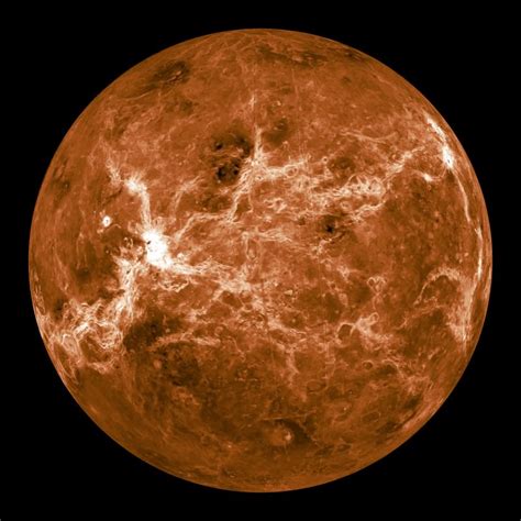 Brief Look at Venus Milan's Background